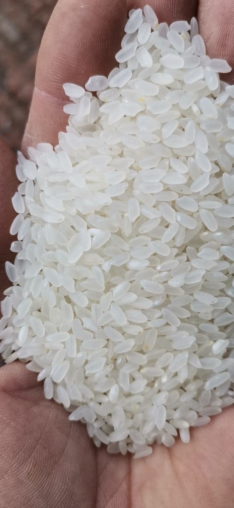 乡禾农业：引领现代农业发展新潮流