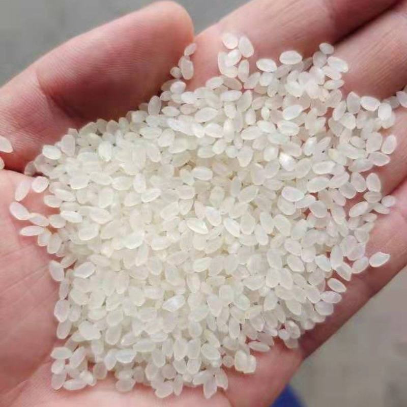 浙江乡禾农业：绿色生态产业引领者